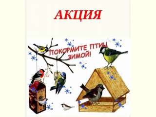 Экологическая акция «Покормите птиц зимой»