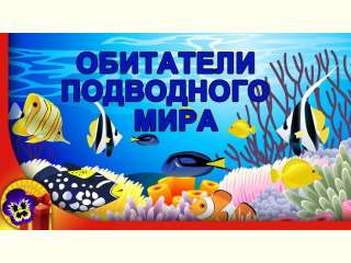 Викторина 