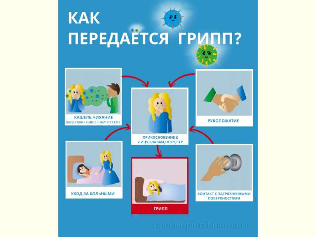 ������������ ����������������